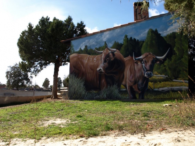 Decoracion de la finca